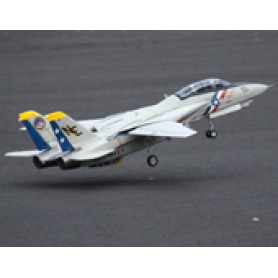 Freewing F-14 Tomcat Twin 80mm EDF Jet